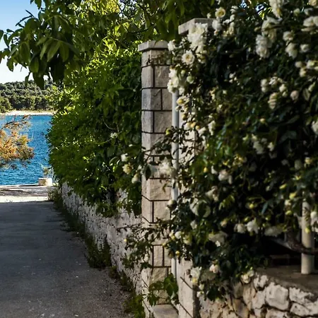 Blue Pearl Apartment